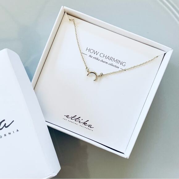 Ettika Silver Chain Delicate Necklace Moon Thin Design Jewelry NEW IN BOX - Picture 5 of 7